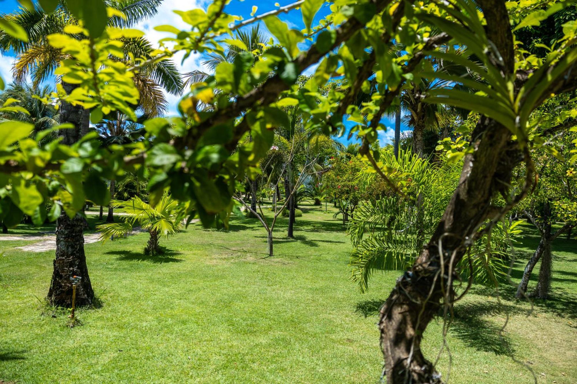 Pousada Aldeia Beijupirá Pôrto de Pedras Esterno foto